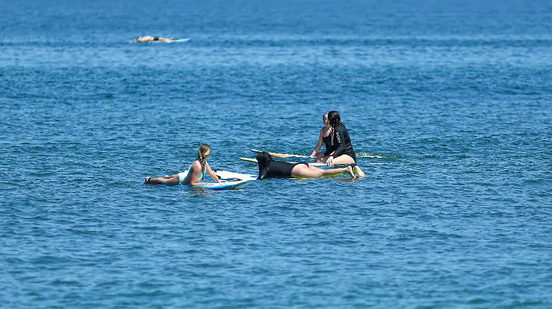 Fotos Surf Sayulita y San Pancho (9).jpg
